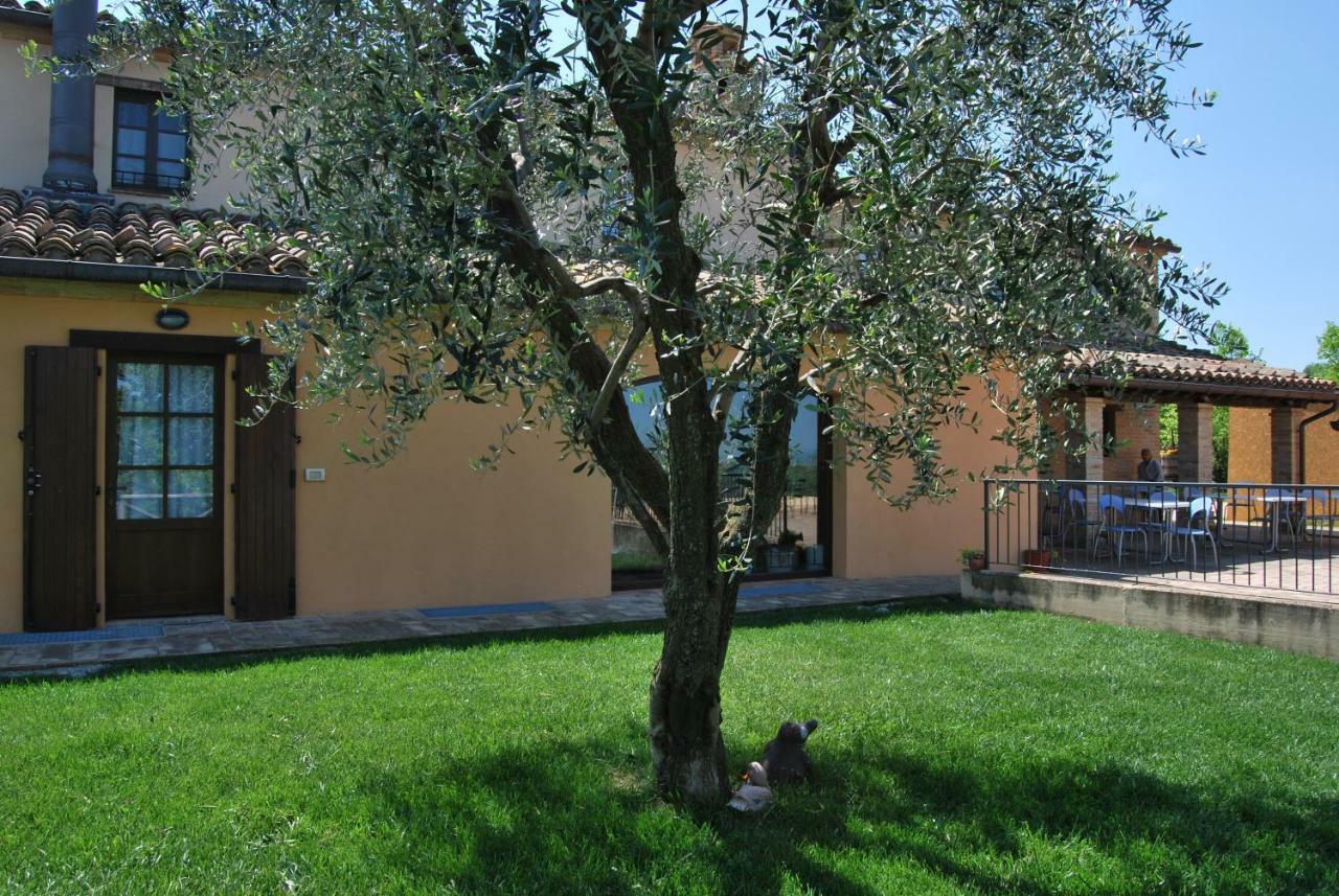 Cadabo Villa Montecarotto Bagian luar foto
